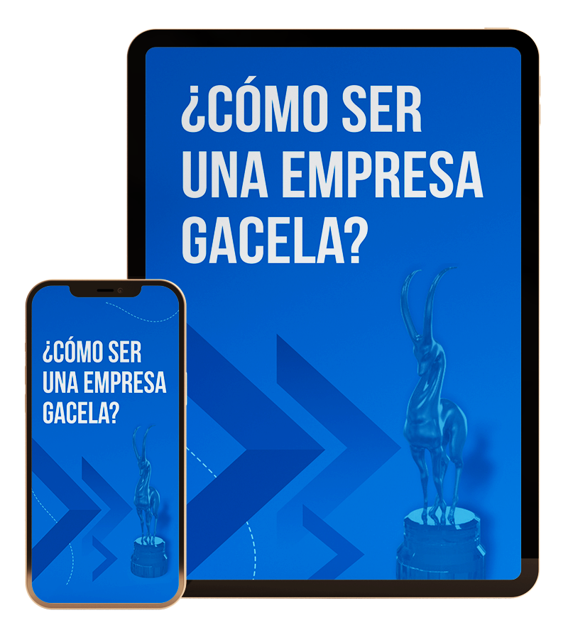 Mockup e-book